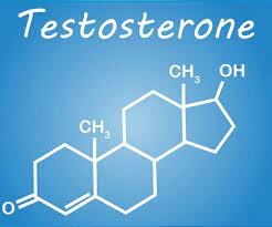 Testosteron booster Mannen