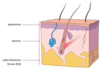Huidproblemen/huidverzorging