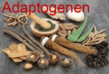 Adaptogeen kruiden