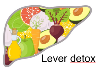 LEVER detox of bescherming