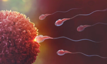 Vruchtbaarheid bevorderen