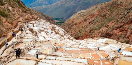 Inca zout (80gr)