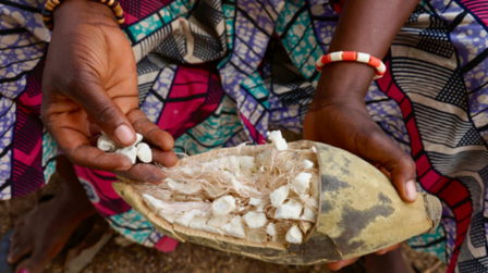 Baobab fruit poeder (50gr)