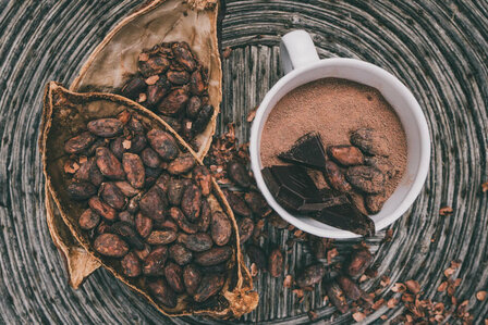 Cacao bonen puur Raw (80gr)