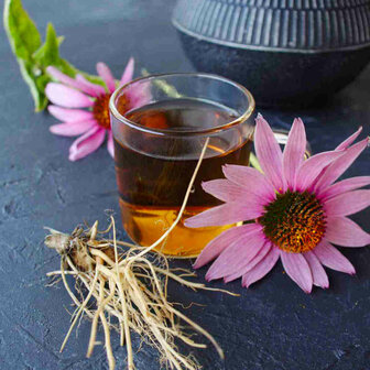 Echinacea wortel (50gr)