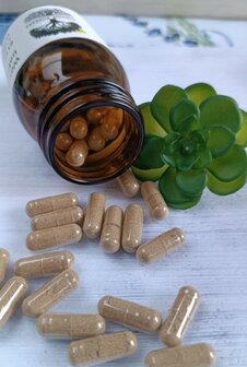 PAKKET: Testosteron man + lever detox capsules