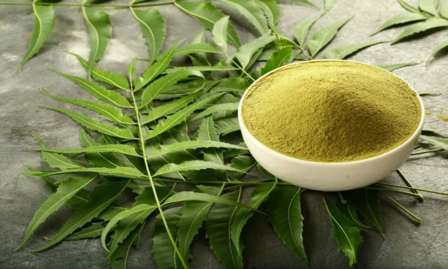 NEEMpoeder (50gr