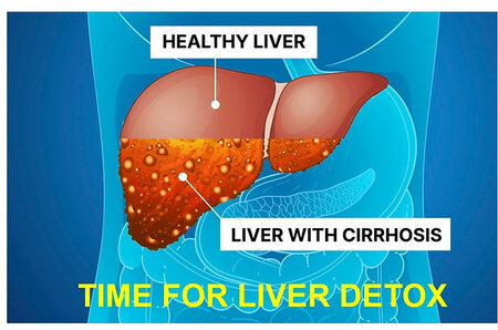 Leverreiniging programma