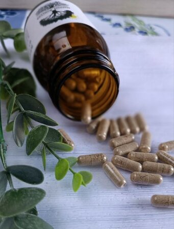 Lever detox mix capsules (6 kruiden)