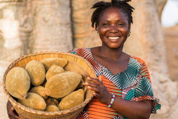 Baobab fruit poeder (50gr)