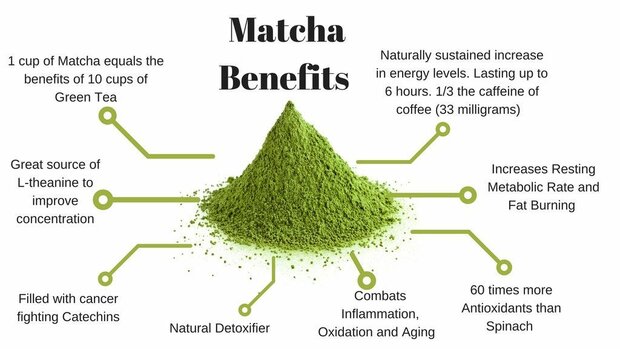 Matcha Ceremonial (40gr) biologisch