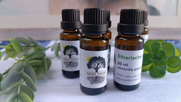 Tea tree Etherische olie (20ml)