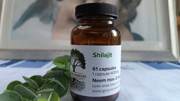 Shilajit (61 caps)