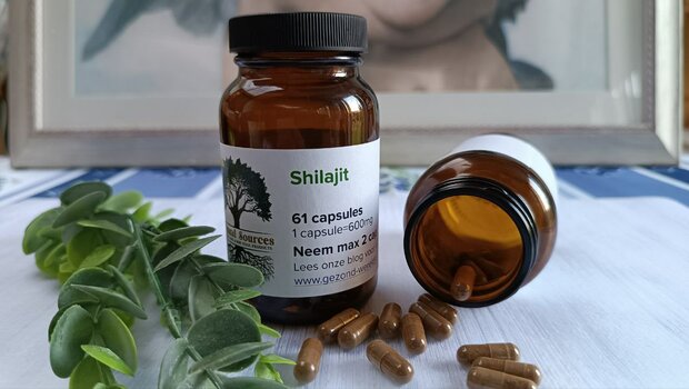 Shilajit (61 caps)