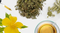 Gezondheidsvoordelen van Damiana Gezondheidsvoordelen van Damiana